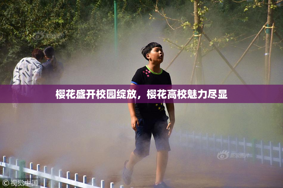樱花盛开校园绽放，樱花高校魅力尽显