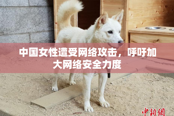 中国女性遭受网络攻击，呼吁加大网络安全力度