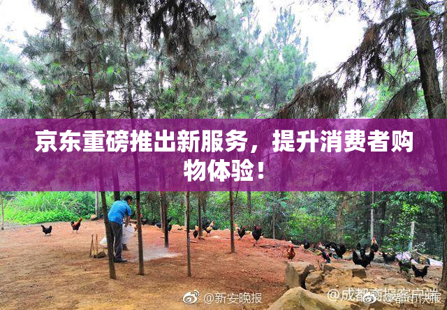 京东重磅推出新服务，提升消费者购物体验！