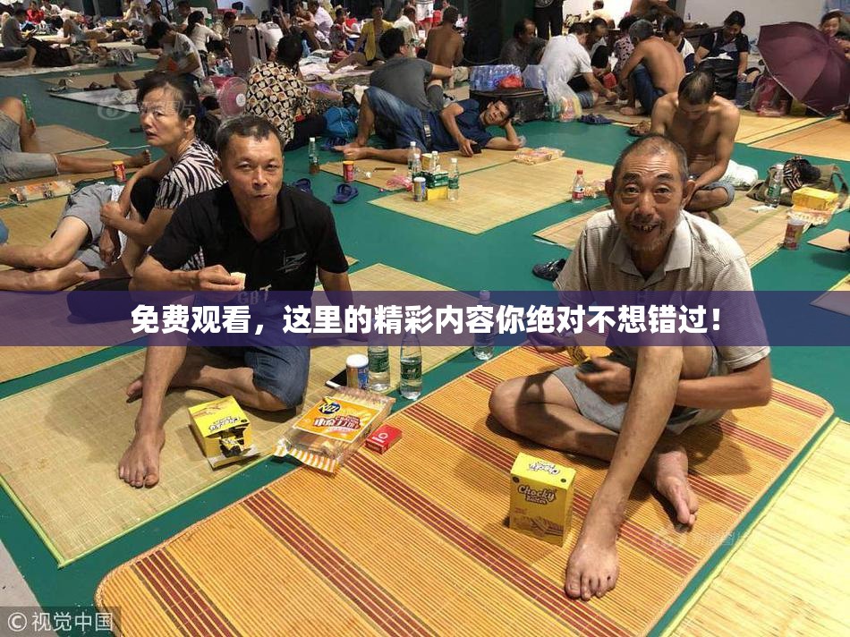 免费观看，这里的精彩内容你绝对不想错过！