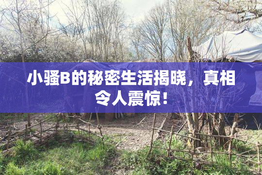 小骚B的秘密生活揭晓，真相令人震惊！