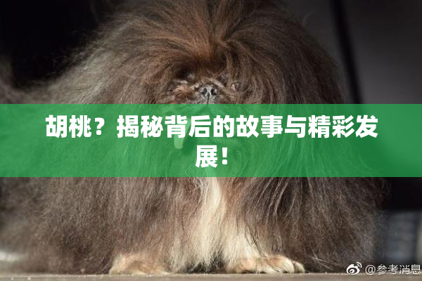 胡桃？揭秘背后的故事与精彩发展！