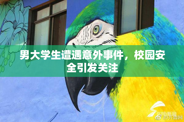 男大学生遭遇意外事件，校园安全引发关注