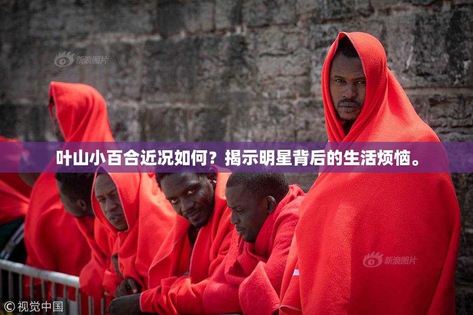 叶山小百合近况如何？揭示明星背后的生活烦恼。