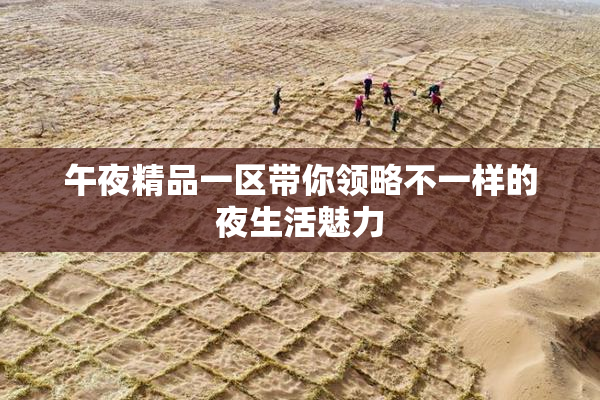 午夜精品一区带你领略不一样的夜生活魅力