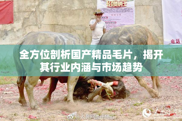 全方位剖析国产精品毛片，揭开其行业内涵与市场趋势