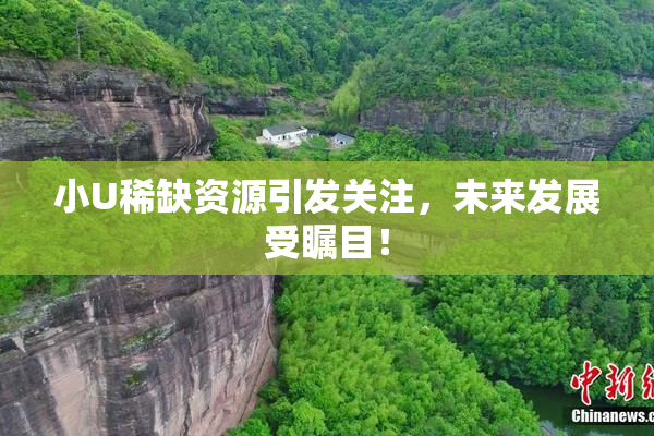 小U稀缺资源引发关注，未来发展受瞩目！