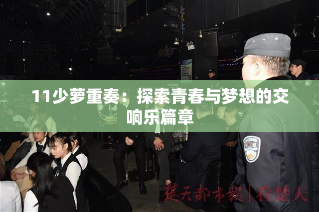 11少萝重奏：探索青春与梦想的交响乐篇章