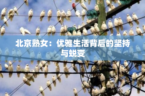 北京熟女：优雅生活背后的坚持与蜕变