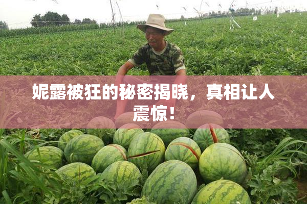 妮露被狂的秘密揭晓，真相让人震惊！