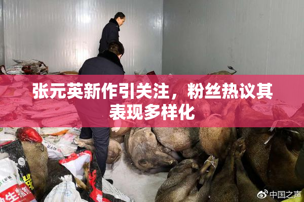 张元英新作引关注，粉丝热议其表现多样化