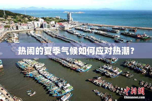 热闹的夏季气候如何应对热潮？