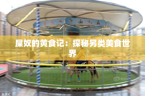屎奴的黄食记：探秘另类美食世界