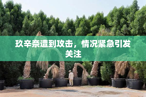 玖辛奈遭到攻击，情况紧急引发关注