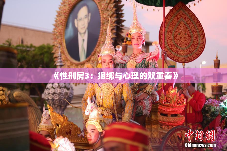 《性刑房3：捆绑与心理的双重奏》