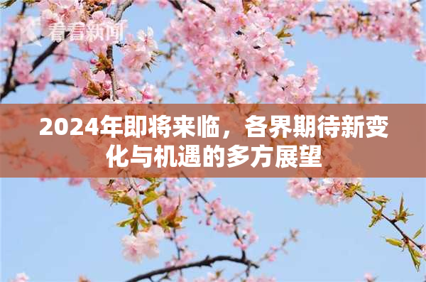 2024年即将来临，各界期待新变化与机遇的多方展望