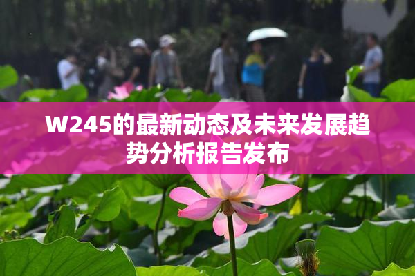 W245的最新动态及未来发展趋势分析报告发布