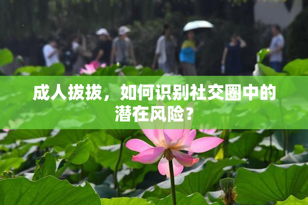成人拔拔，如何识别社交圈中的潜在风险？