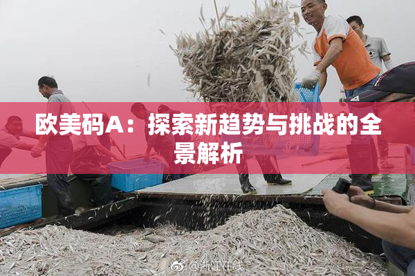 欧美码A：探索新趋势与挑战的全景解析