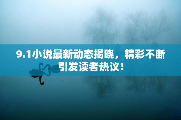 9.1小说最新动态揭晓，精彩不断引发读者热议！