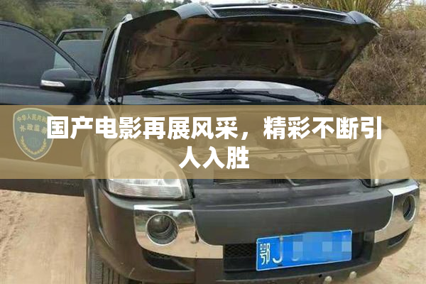 国产电影再展风采，精彩不断引人入胜