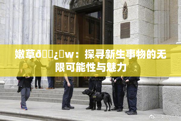 嫩草🌿‌w：探寻新生事物的无限可能性与魅力