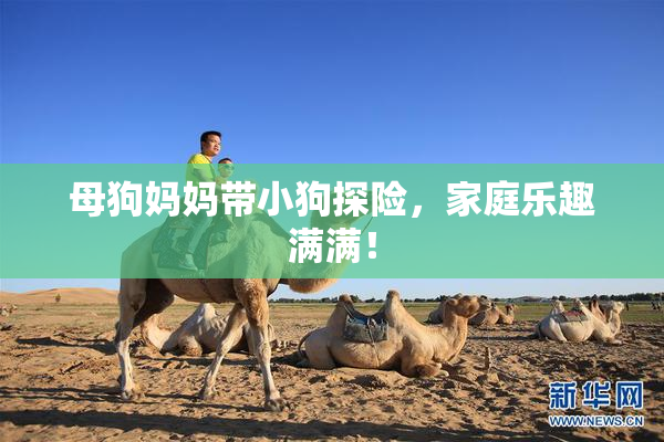 母狗妈妈带小狗探险，家庭乐趣满满！