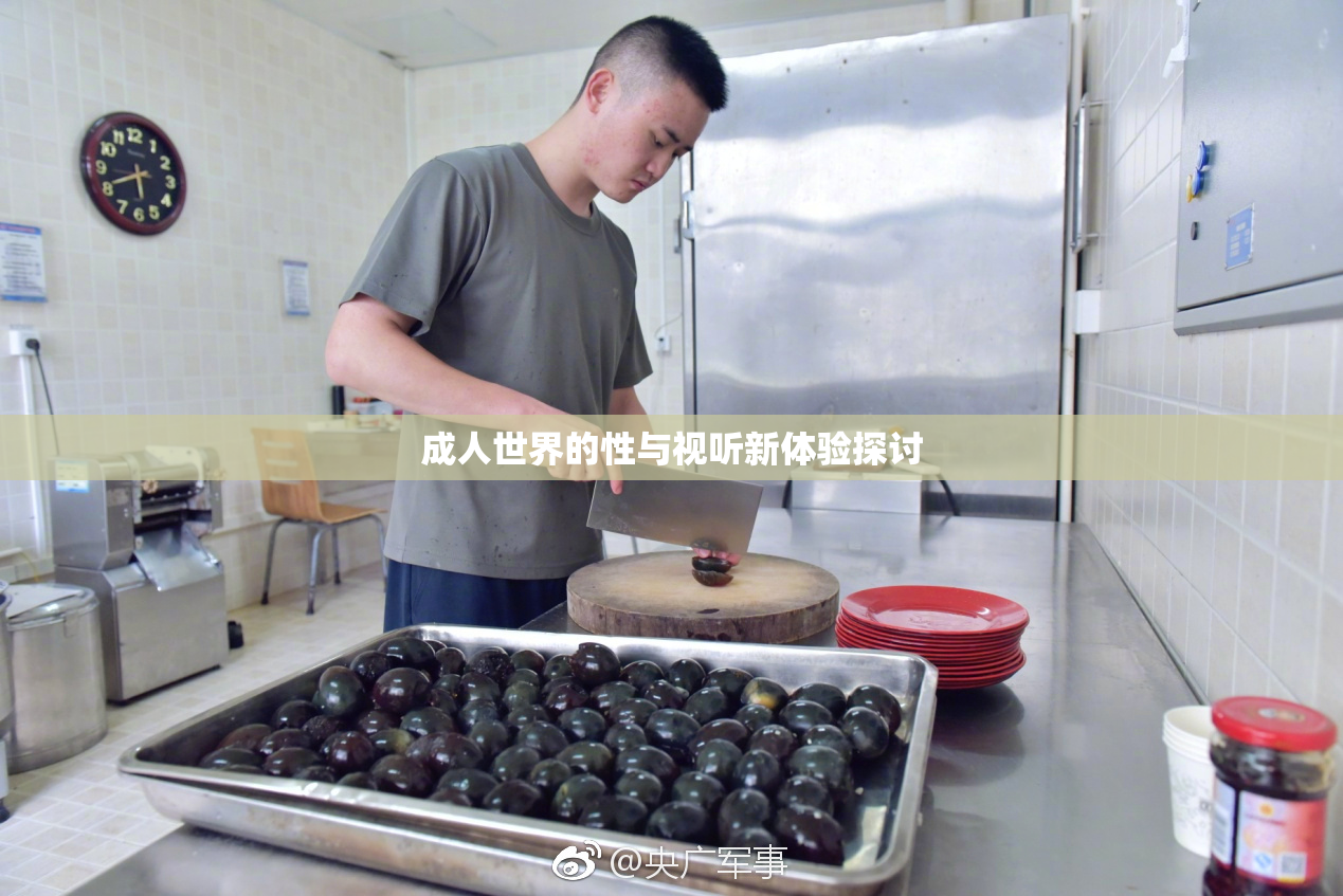 成人世界的性与视听新体验探讨