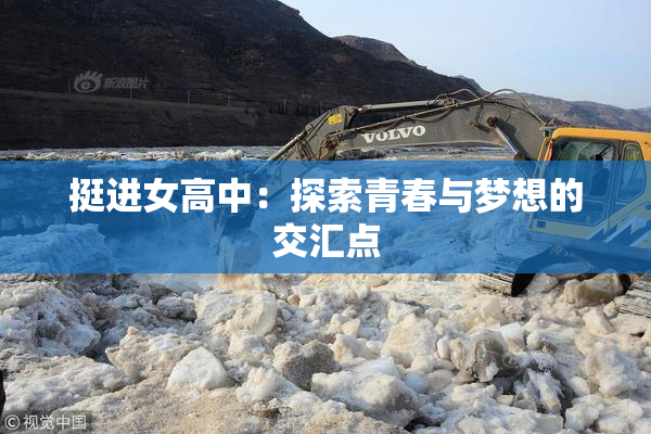 挺进女高中：探索青春与梦想的交汇点