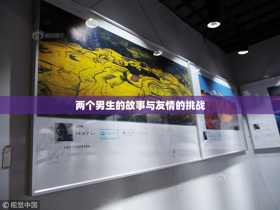 两个男生的故事与友情的挑战