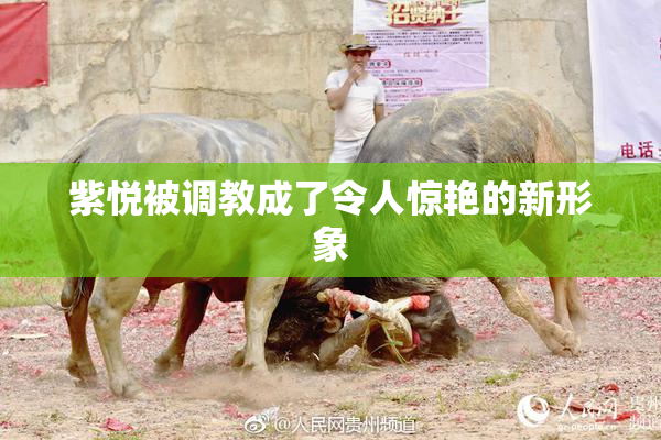 紫悦被调教成了令人惊艳的新形象