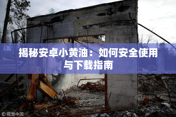 揭秘安卓小黄油：如何安全使用与下载指南