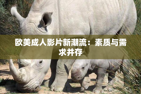 欧美成人影片新潮流：素质与需求并存