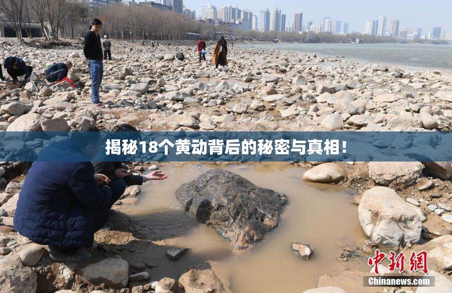 揭秘18个黄动背后的秘密与真相！