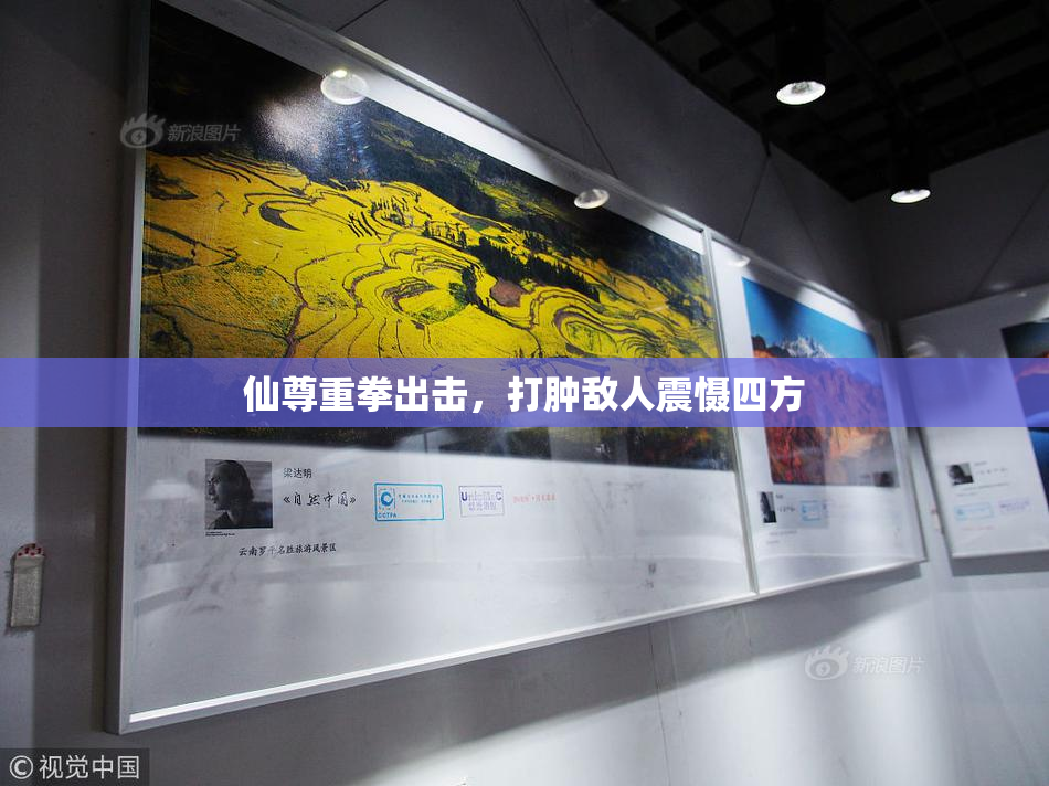 仙尊重拳出击，打肿敌人震慑四方