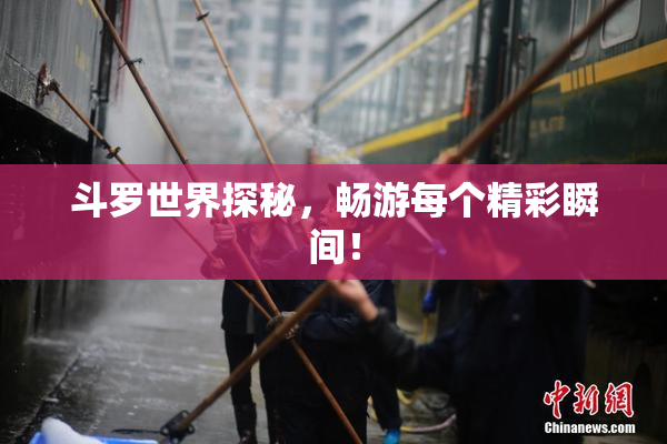斗罗世界探秘，畅游每个精彩瞬间！