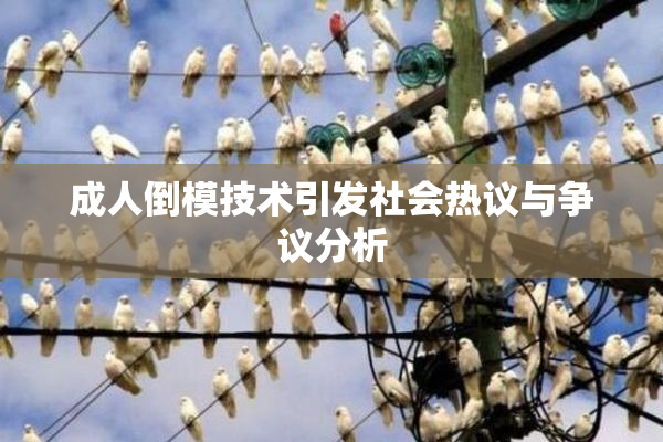 成人倒模技术引发社会热议与争议分析