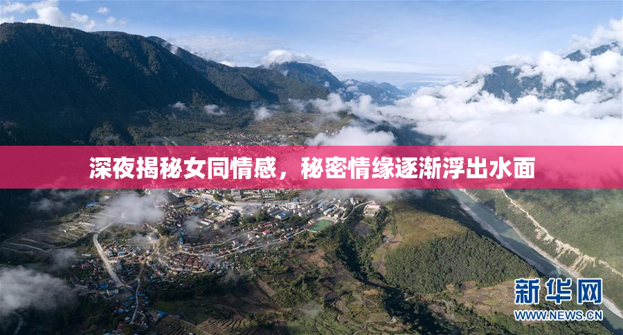 深夜揭秘女同情感，秘密情缘逐渐浮出水面