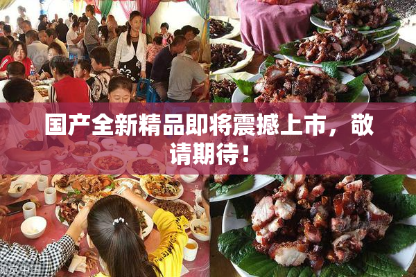 国产全新精品即将震撼上市，敬请期待！