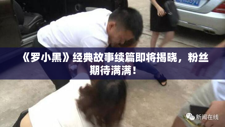 《罗小黑》经典故事续篇即将揭晓，粉丝期待满满！
