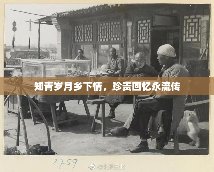 知青岁月乡下情，珍贵回忆永流传