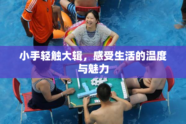 小手轻触大辑，感受生活的温度与魅力