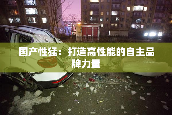 国产性猛：打造高性能的自主品牌力量