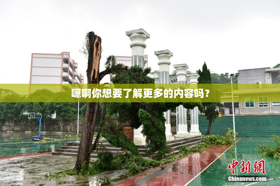 嗯啊你想要了解更多的内容吗？
