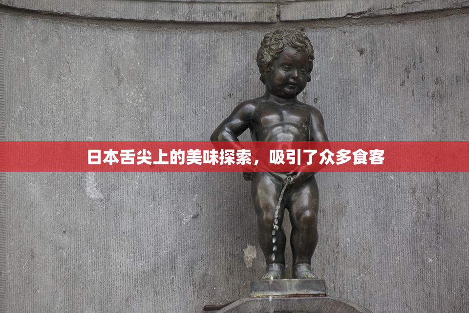 日本舌尖上的美味探索，吸引了众多食客