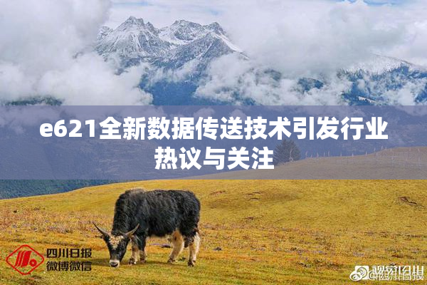 e621全新数据传送技术引发行业热议与关注