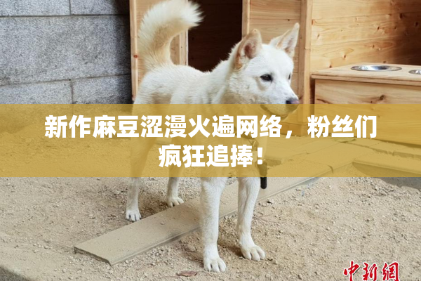 新作麻豆涩漫火遍网络，粉丝们疯狂追捧！