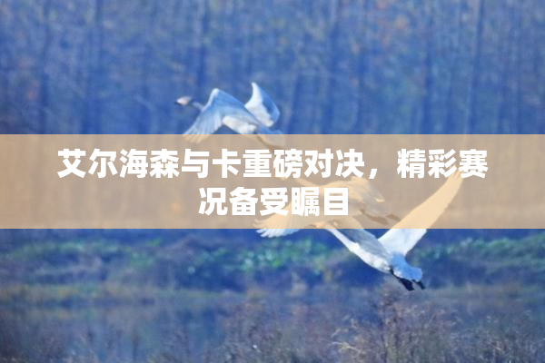 艾尔海森与卡重磅对决，精彩赛况备受瞩目
