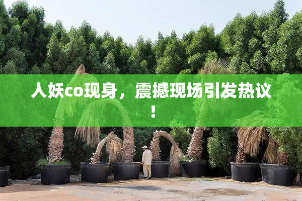 人妖co现身，震撼现场引发热议！