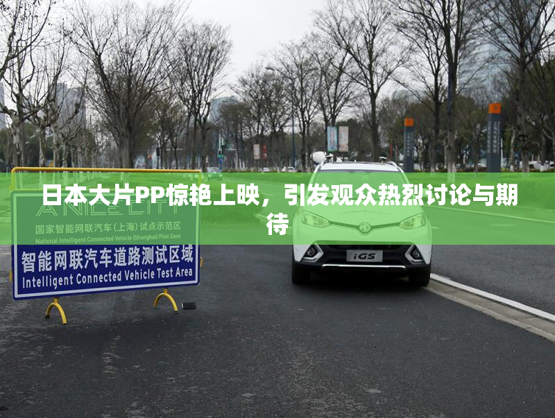 日本大片PP惊艳上映，引发观众热烈讨论与期待